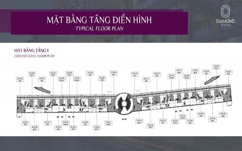 mat-bang-tang-dien-hinh-shop-house-diamond-celadon-city