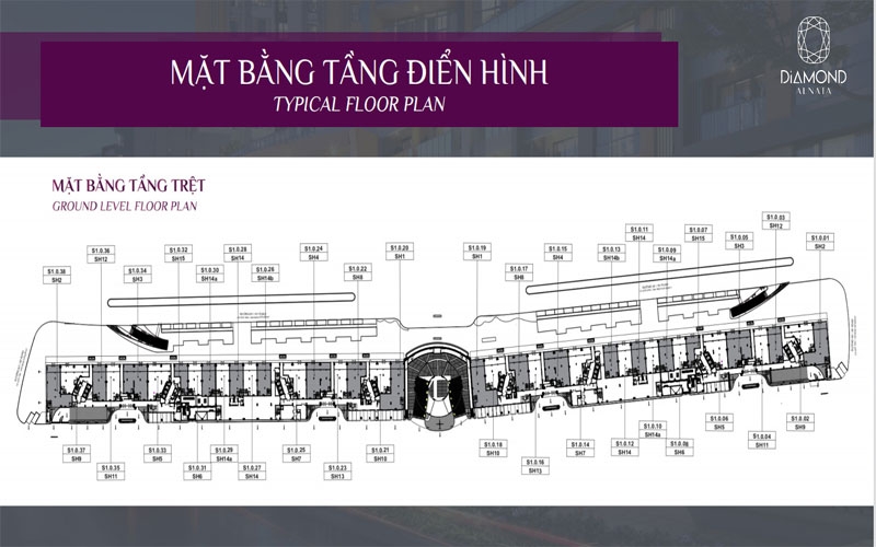 mat-bang-tang-dien-hinh-shop-house-diamond-celadon-city