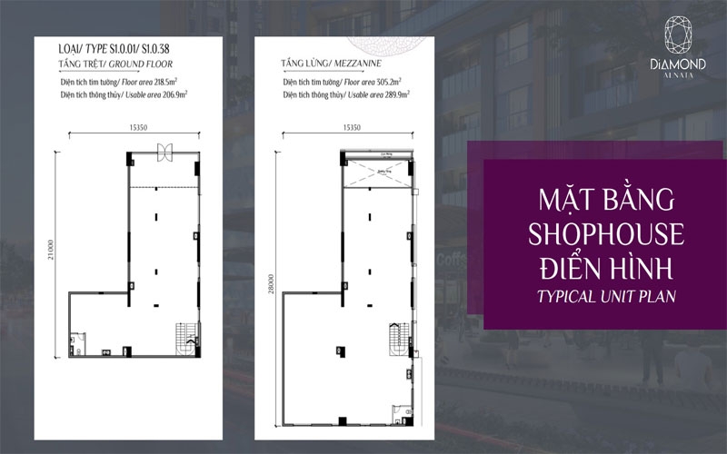 Mặt bằng phân lô chi tiết loại căn lớn